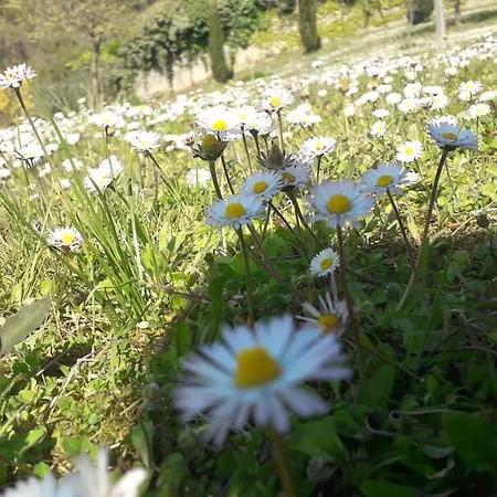 Bed & Breakfast Luna Blu Montesilvano Marina