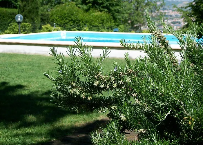 Luna Blu Montesilvano Marina