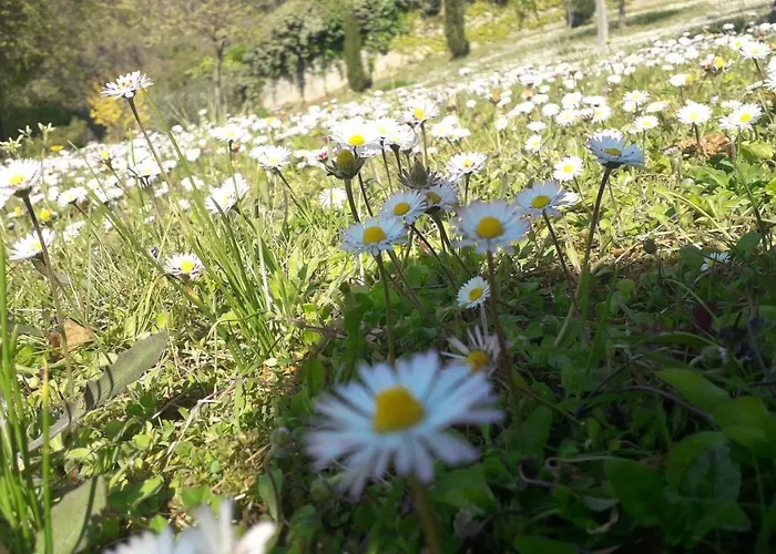 Oda ve Kahvaltı Luna Blu Montesilvano Marina